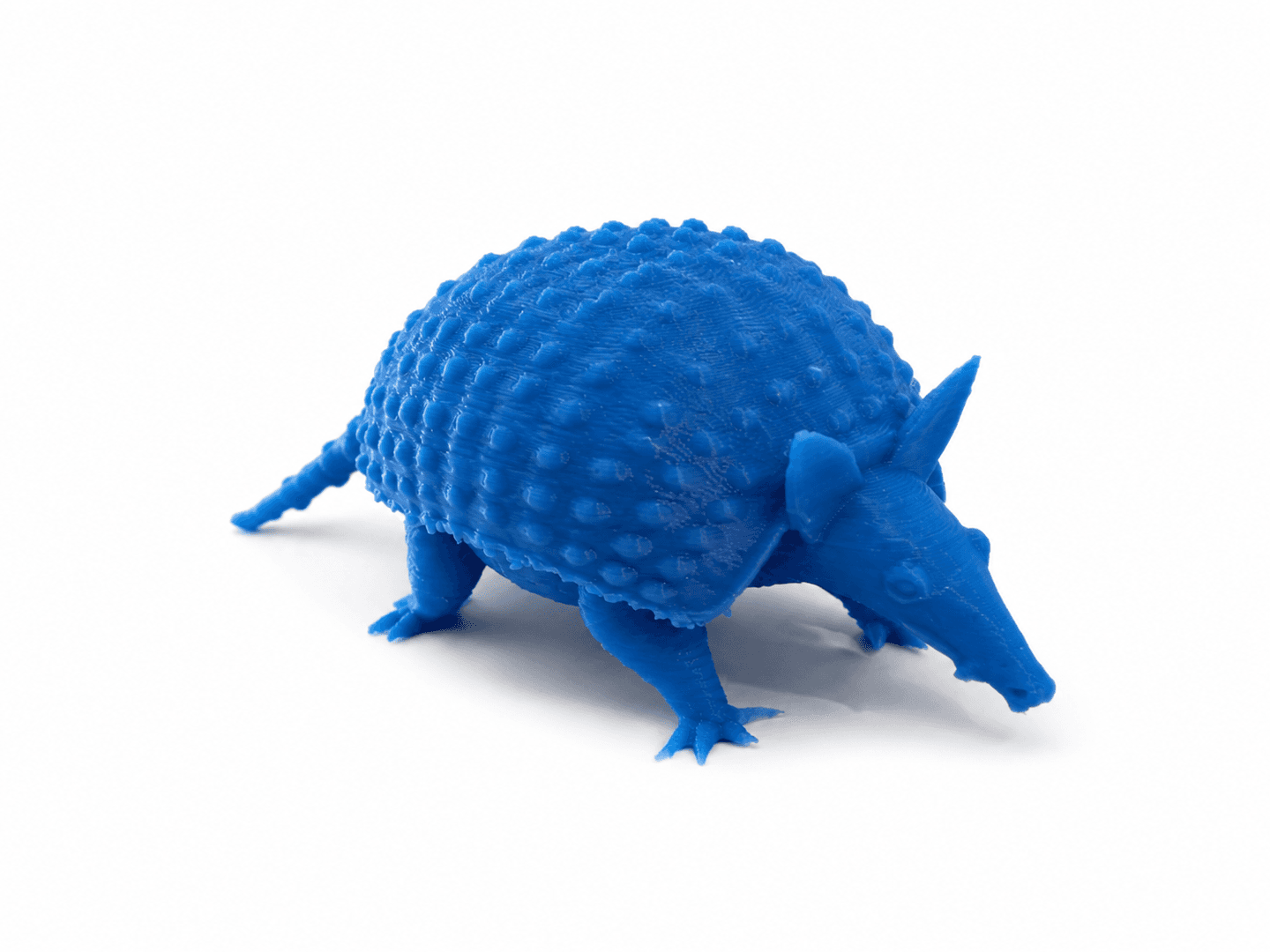 Detailed Armadillo Animal Model 3D model preview
