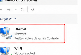 Windows Network Connections window with the active Ethernet adapter highlighted.